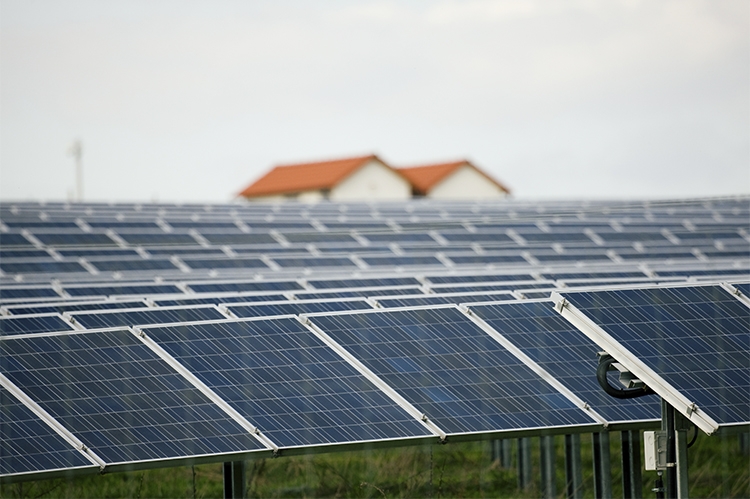 GALERIA