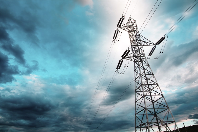 GALERIA
