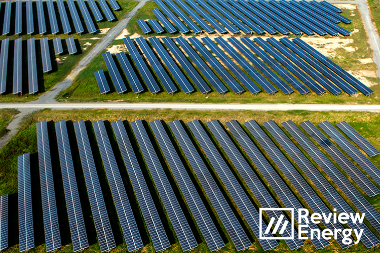 GALERIA